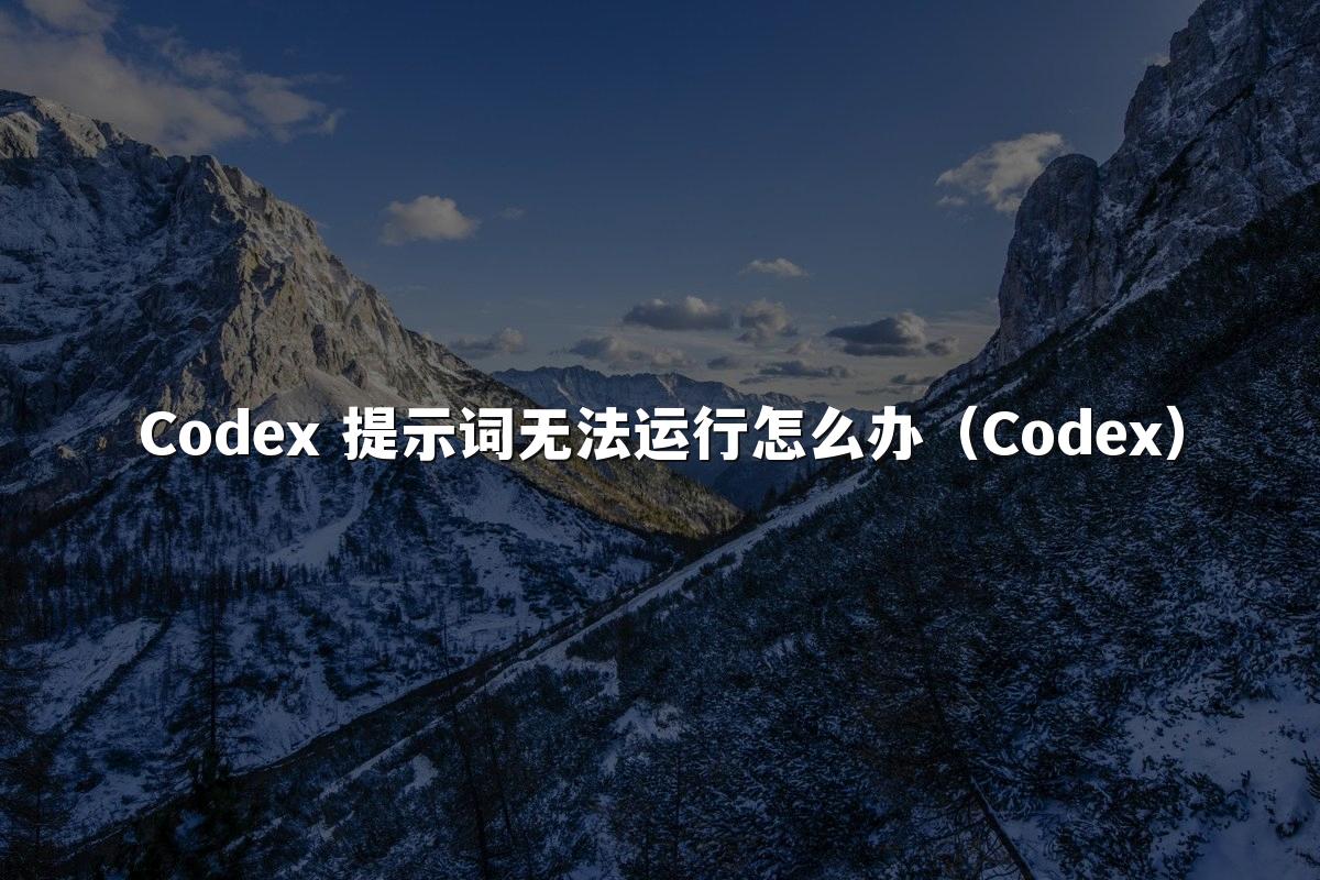 Codex 提示词无法运行怎么办（Codex）
