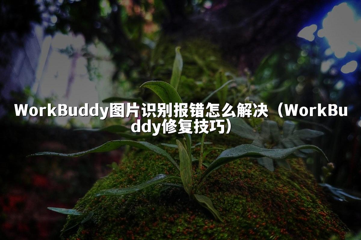 WorkBuddy图片识别报错怎么解决(WorkBuddy修复技巧)