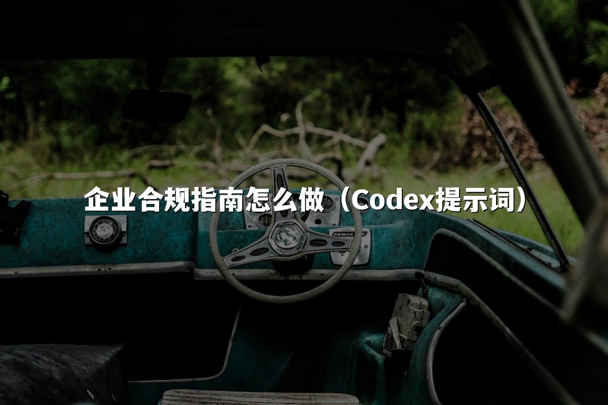 企业合规指南怎么做(Codex提示词)