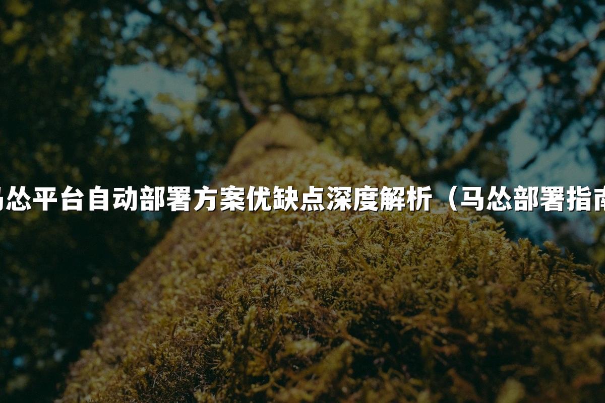 马怂平台自动部署方案优缺点深度解析（马怂部署指南）