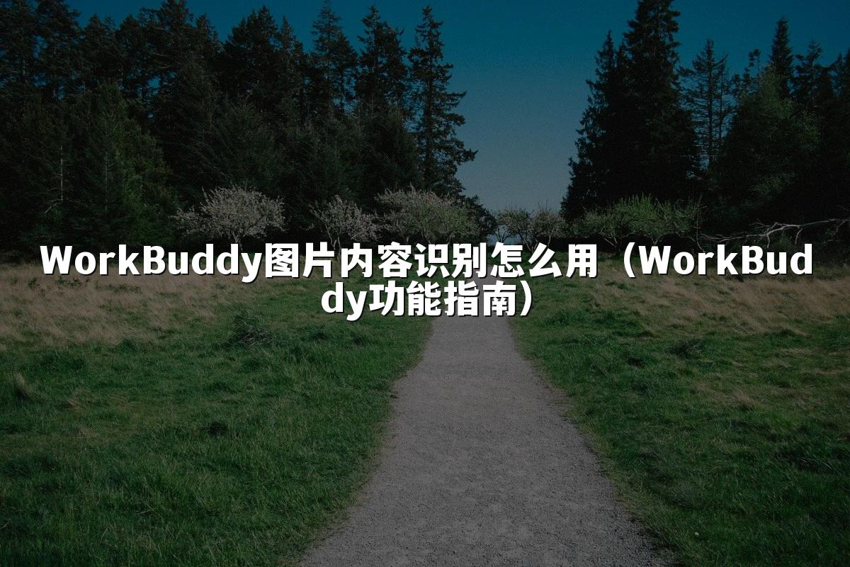 WorkBuddy图片内容识别怎么用(WorkBuddy功能指南)