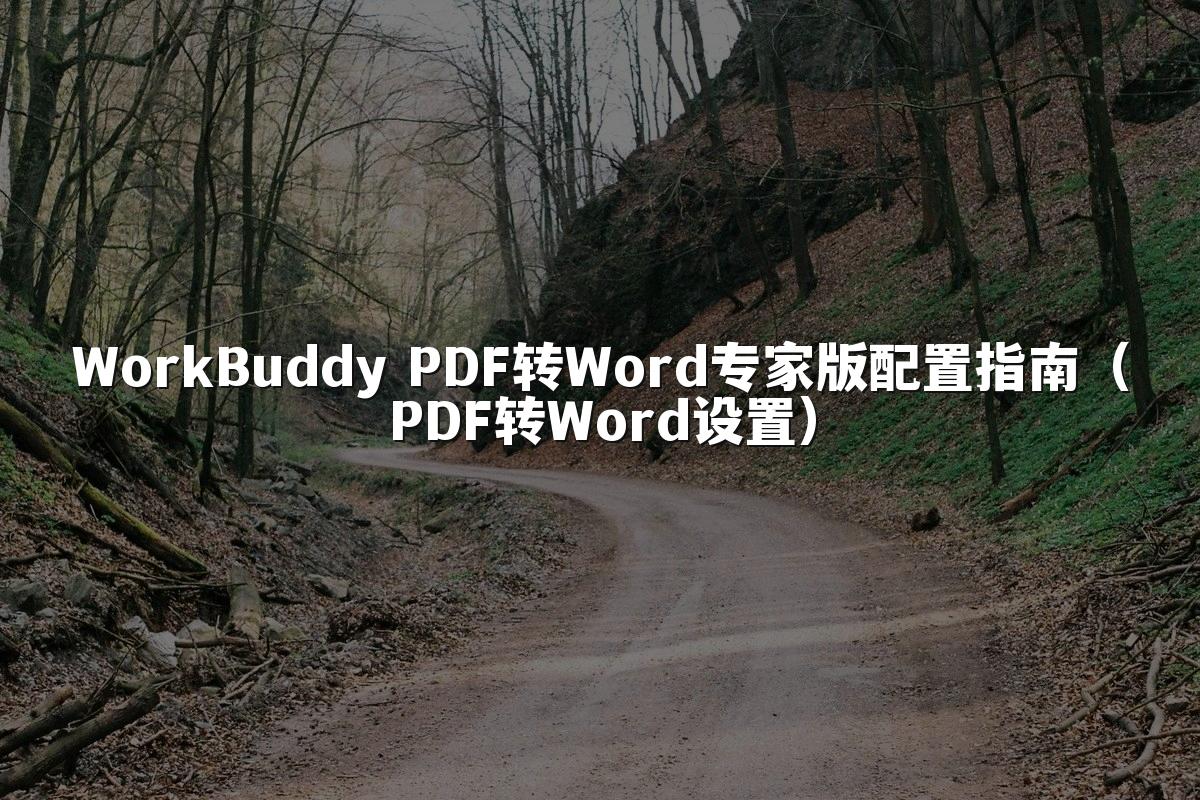 WorkBuddy PDF转Word专家版配置指南(PDF转Word设置)