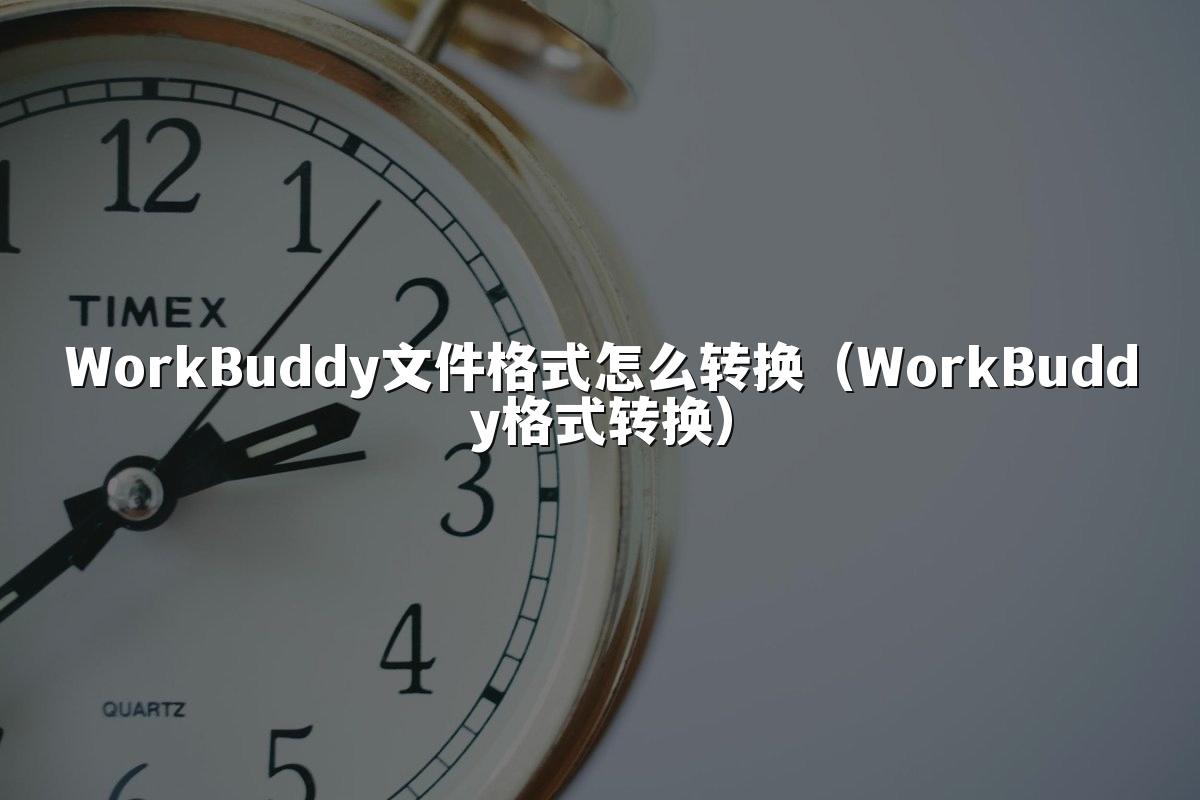 WorkBuddy文件格式怎么转换(WorkBuddy格式转换)