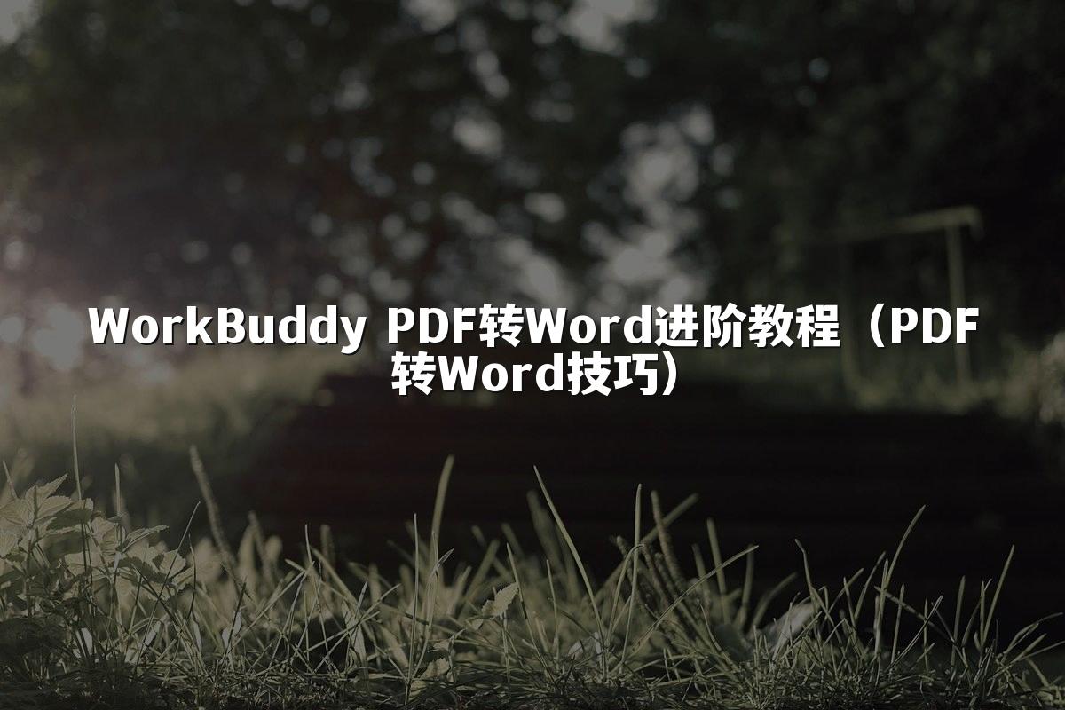 WorkBuddy PDF转Word进阶教程(PDF转Word技巧)