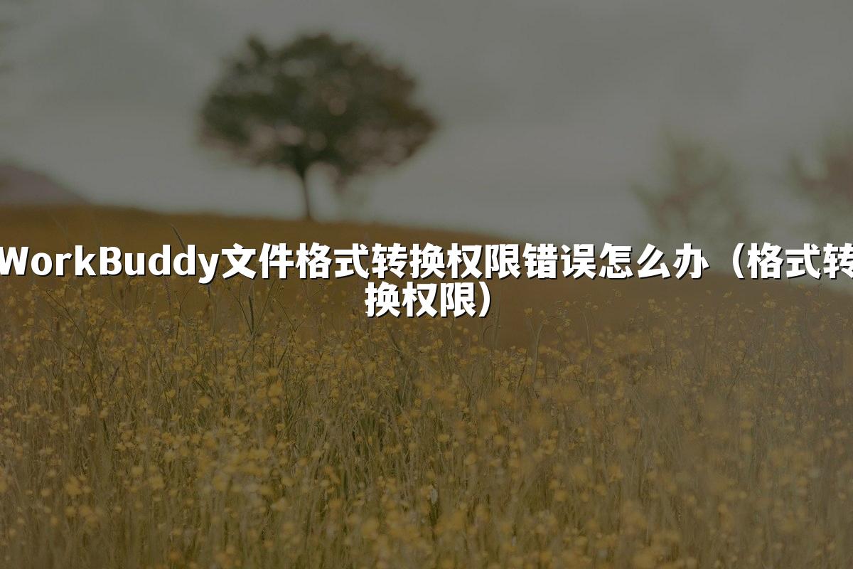 WorkBuddy文件格式转换权限错误怎么办(格式转换权限)