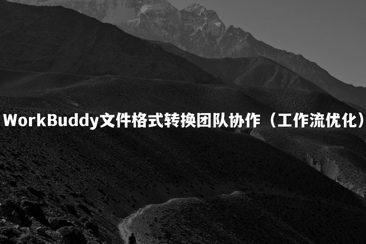 WorkBuddy文件格式转换团队协作（工作流优化）