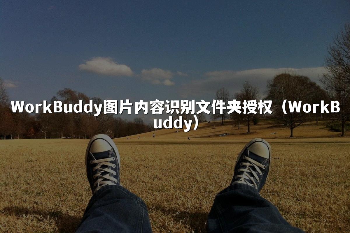 WorkBuddy图片内容识别文件夹授权(WorkBuddy)