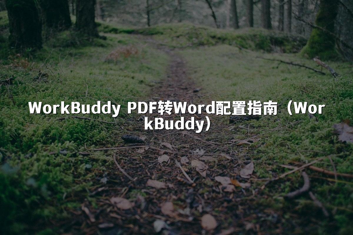 WorkBuddy PDF转Word配置指南(WorkBuddy)
