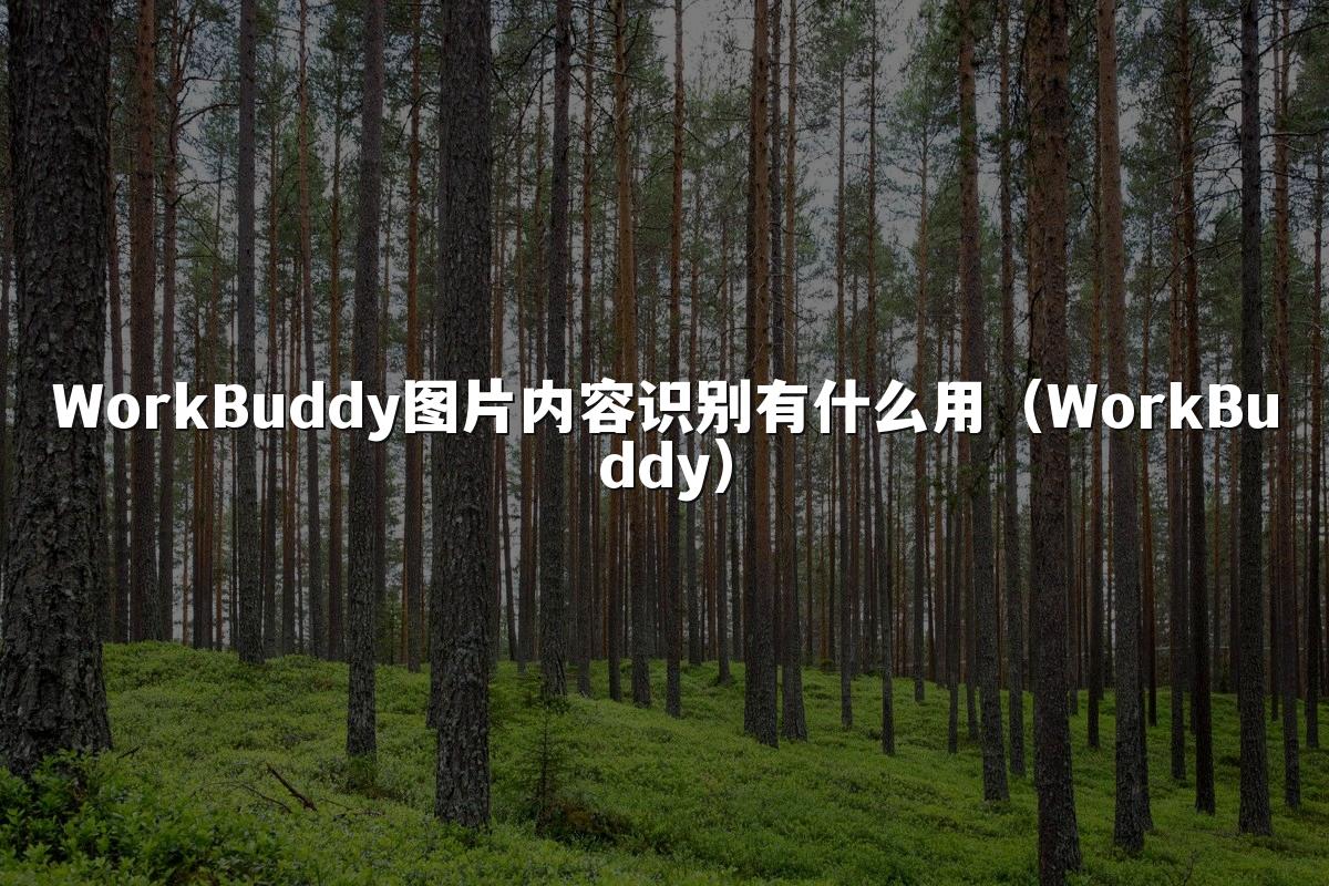 WorkBuddy图片内容识别有什么用(WorkBuddy)