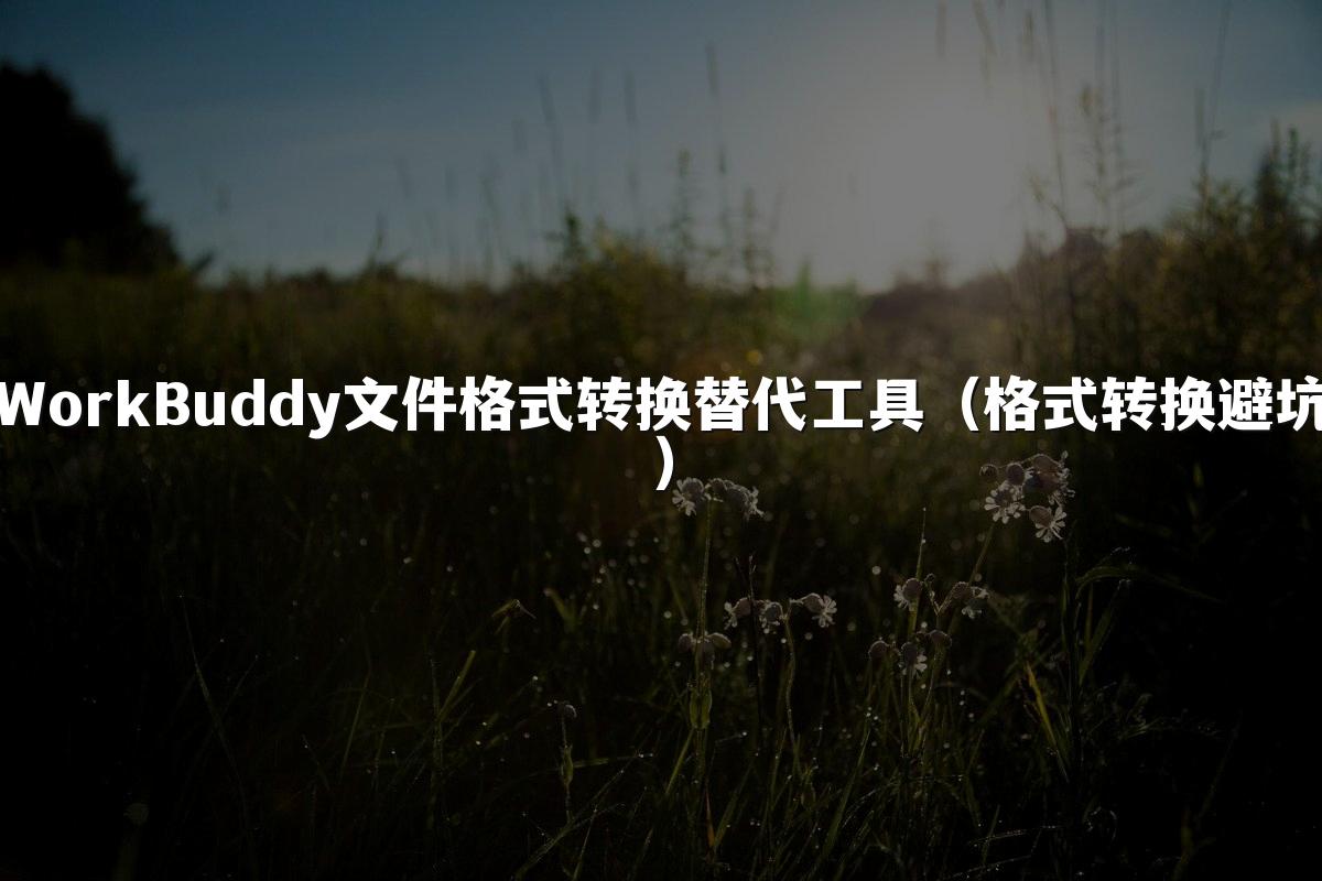 WorkBuddy文件格式转换替代工具（格式转换避坑）