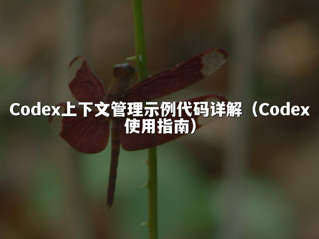 Codex上下文管理示例代码详解(Codex使用指南)