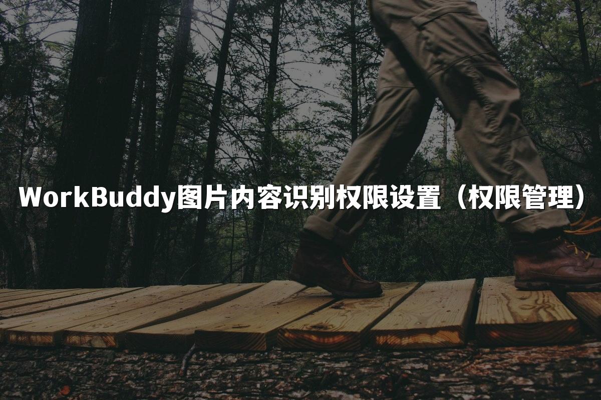 WorkBuddy图片内容识别权限设置（权限管理）