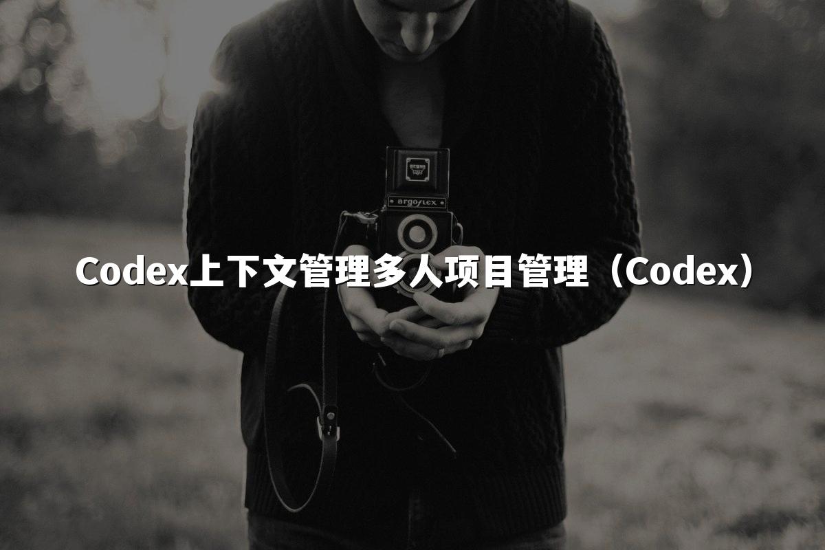 Codex上下文管理多人项目管理(Codex)