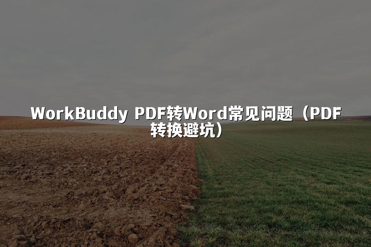 WorkBuddy PDF转Word常见问题(PDF转换避坑)