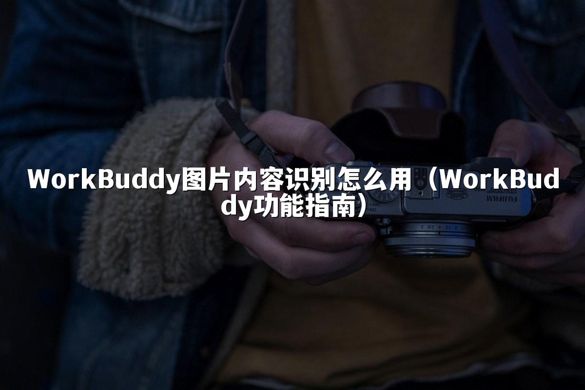 WorkBuddy图片内容识别怎么用(WorkBuddy功能指南)