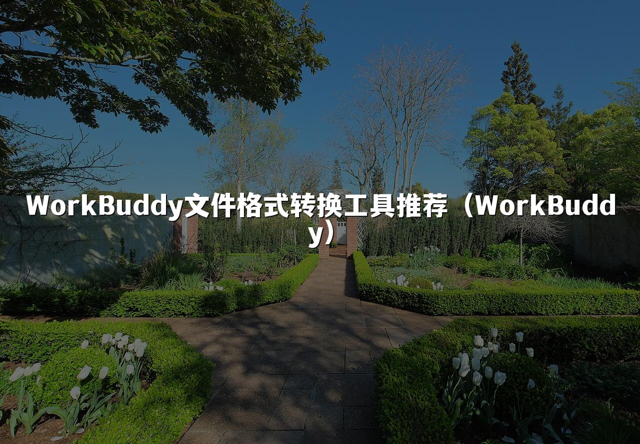 WorkBuddy文件格式转换工具推荐（WorkBuddy）