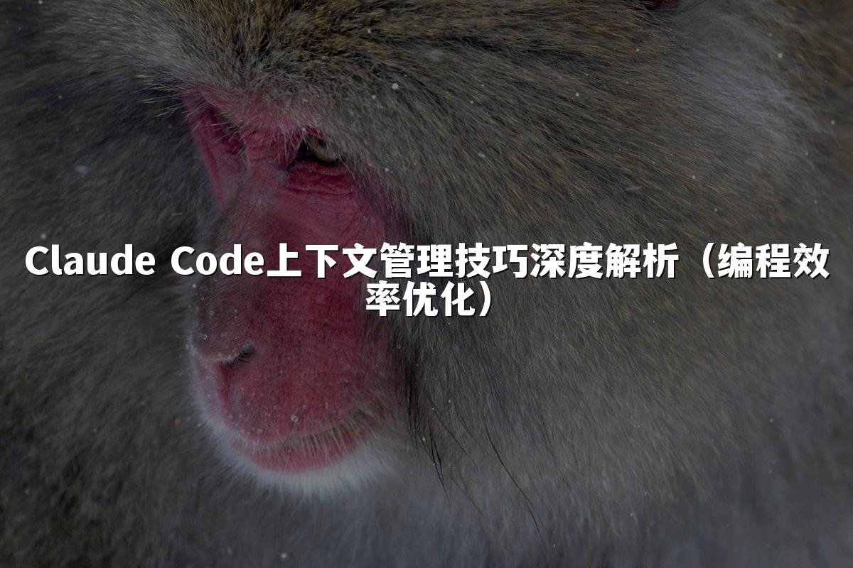 Claude Code上下文管理技巧深度解析（编程效率优化）