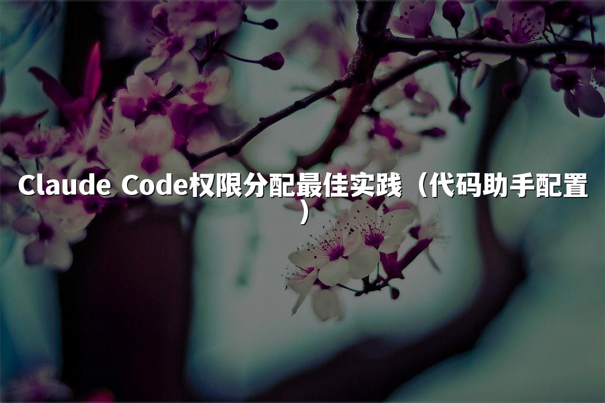 Claude Code权限分配最佳实践（代码助手配置）