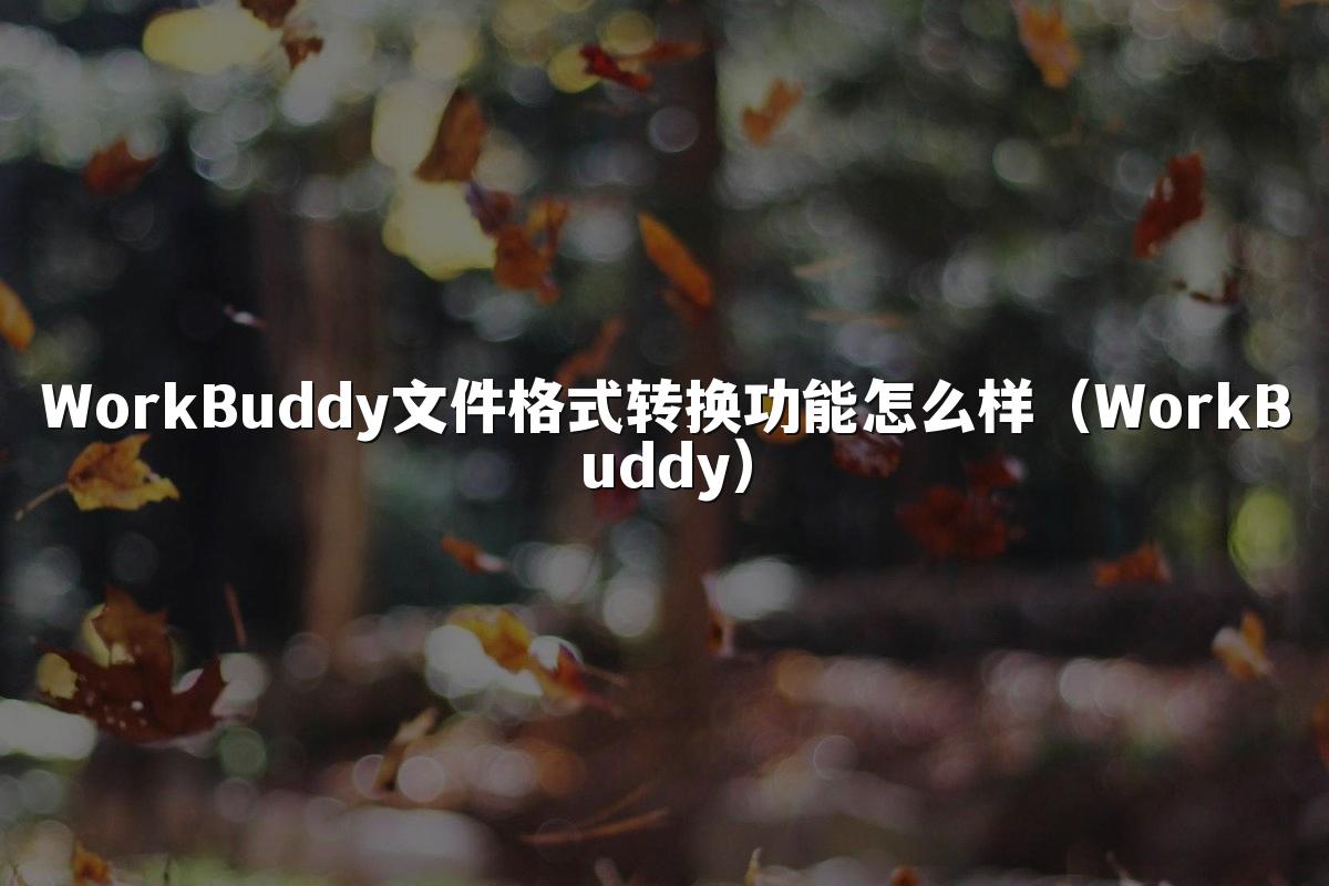 WorkBuddy文件格式转换功能怎么样(WorkBuddy)