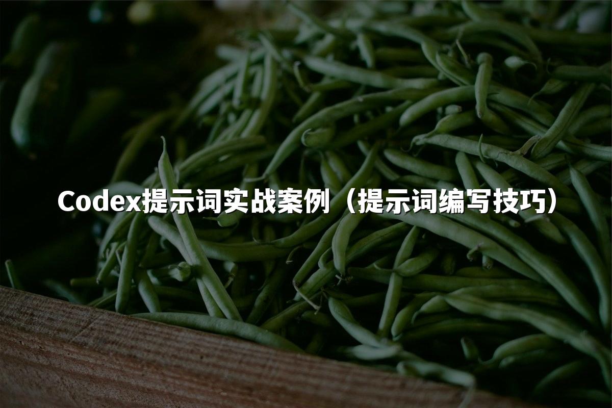 Codex提示词实战案例（提示词编写技巧）