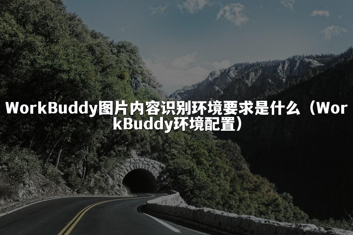 WorkBuddy图片内容识别环境要求是什么（WorkBuddy环境配置）