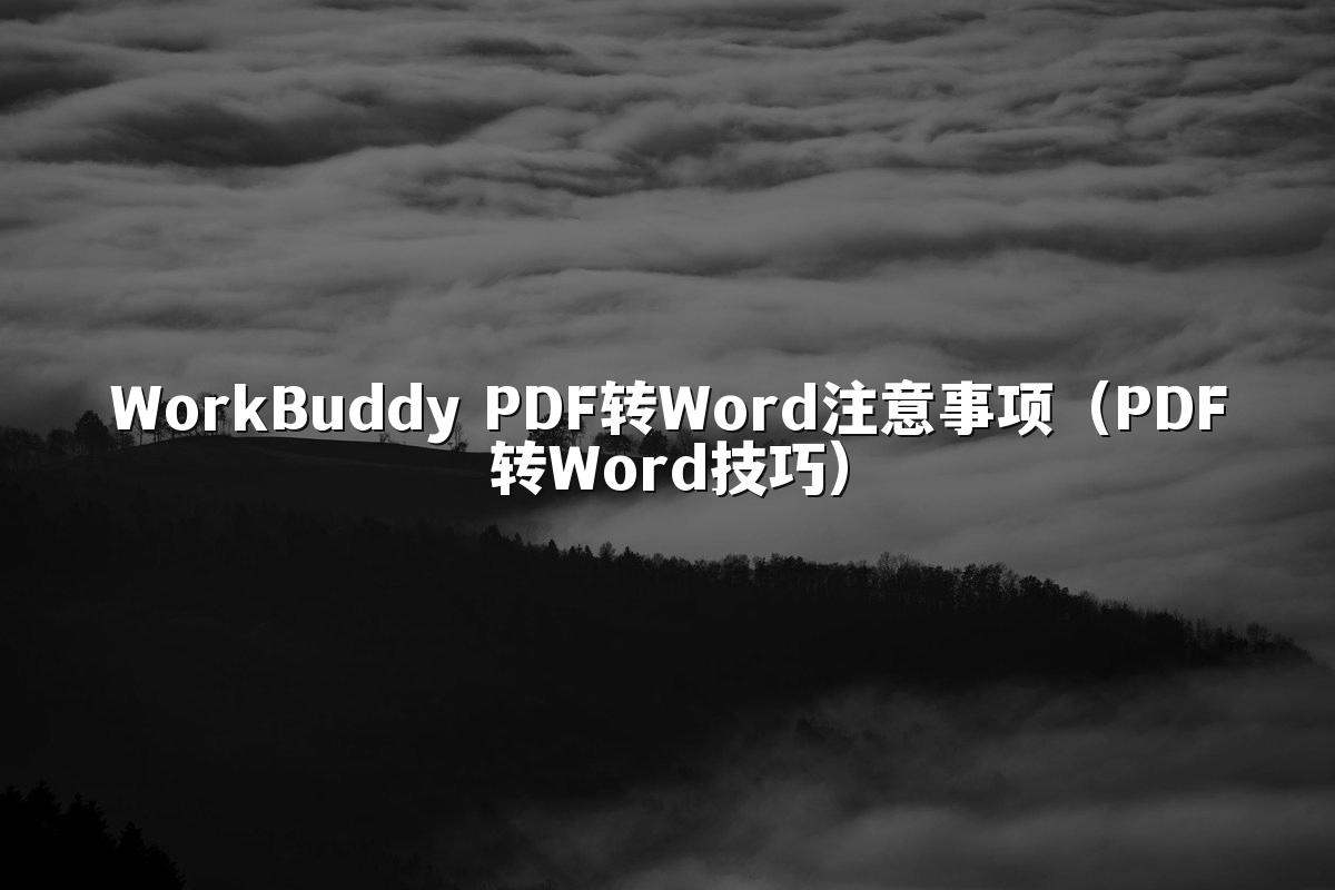 WorkBuddy PDF转Word注意事项（PDF转Word技巧）