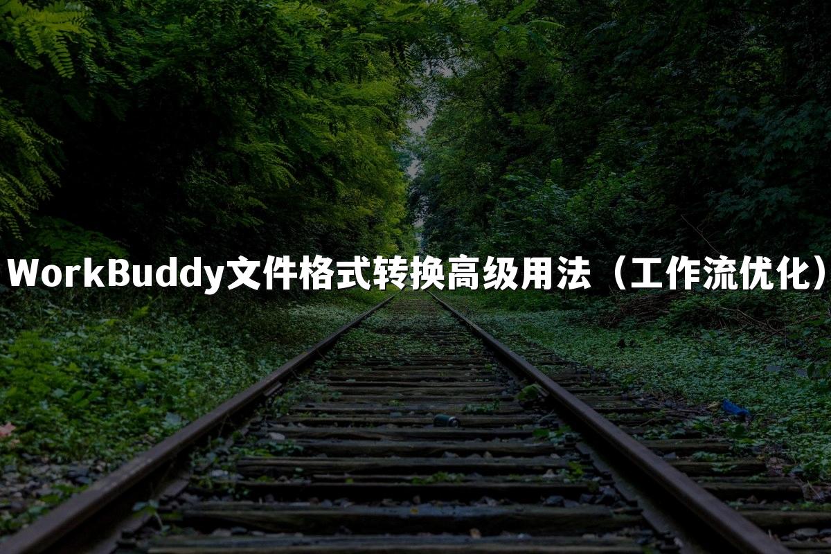 WorkBuddy文件格式转换高级用法(工作流优化)