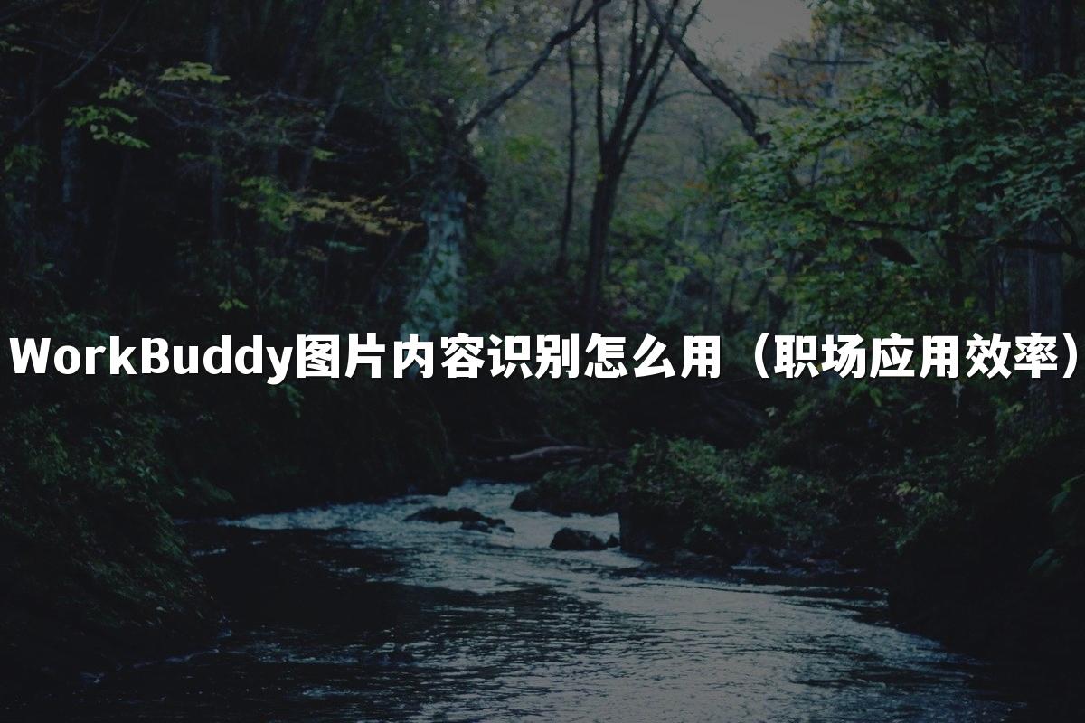WorkBuddy图片内容识别怎么用(职场应用效率)