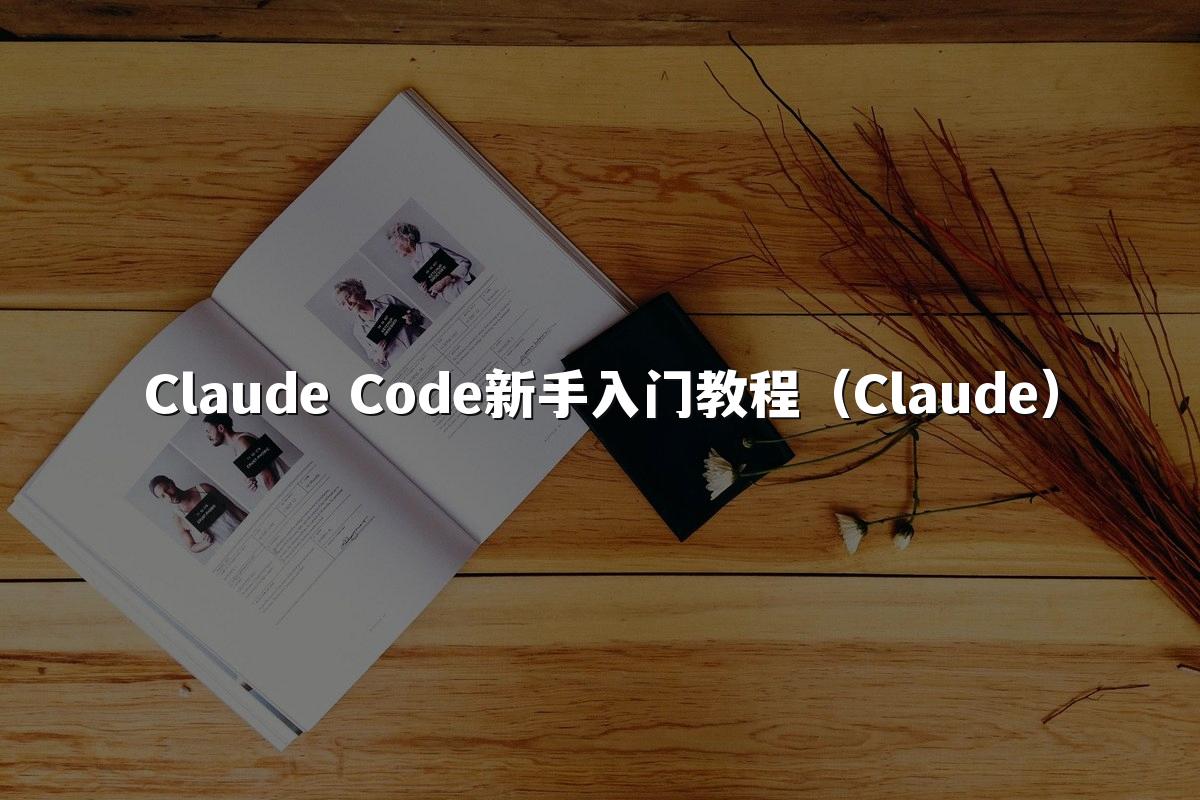 Claude Code新手入门教程（Claude）