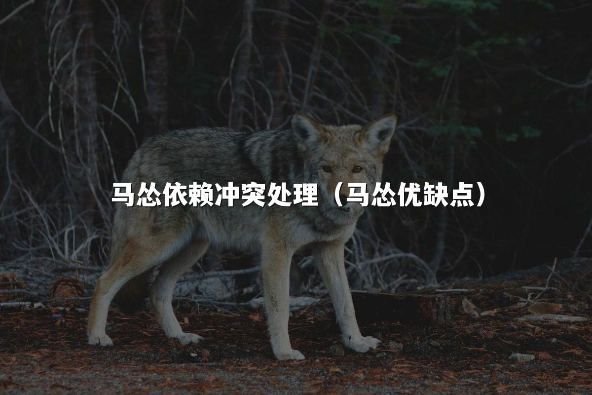 马怂依赖冲突处理（马怂优缺点）