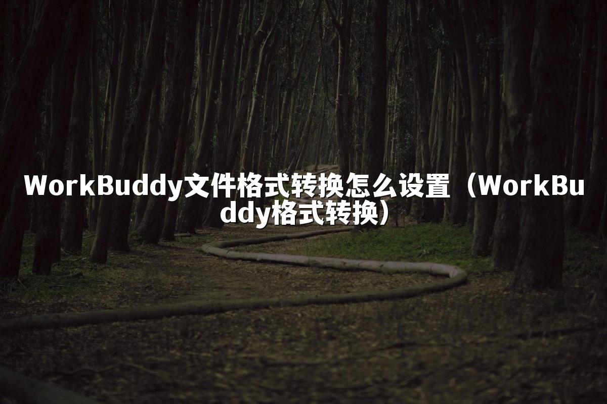 WorkBuddy文件格式转换怎么设置（WorkBuddy格式转换）