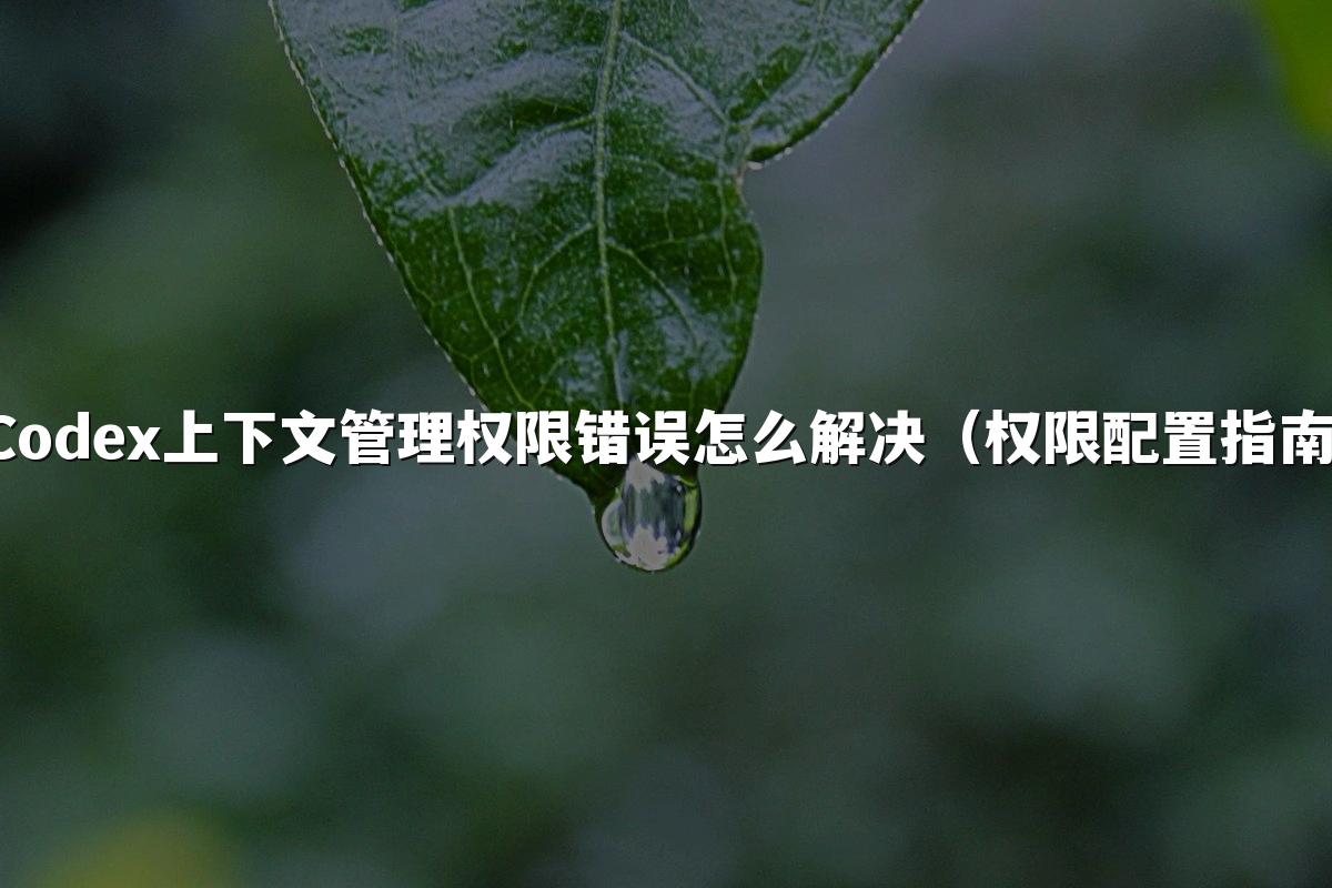 Codex上下文管理权限错误怎么解决（权限配置指南）