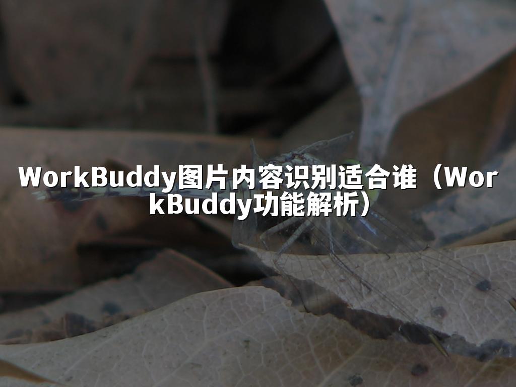 WorkBuddy图片内容识别适合谁（WorkBuddy功能解析）