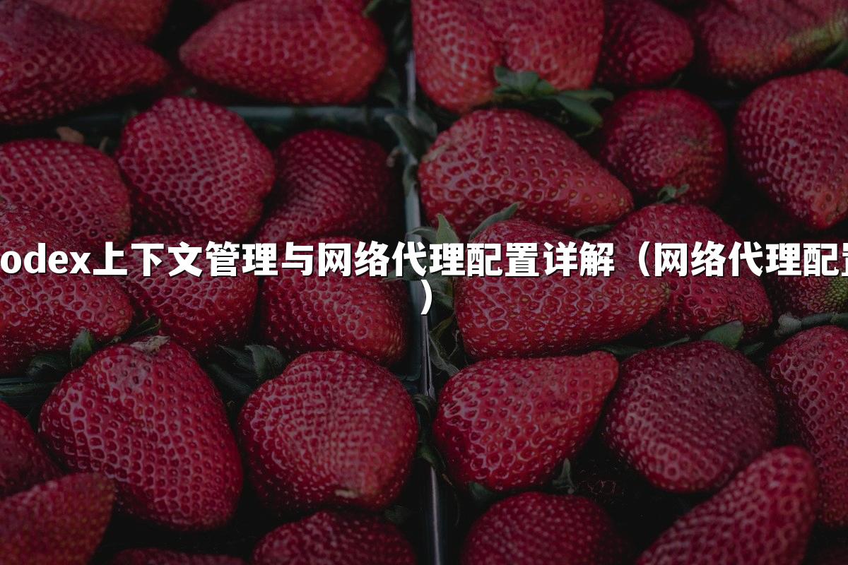 星空(中国)上下文管理与网络代理配置详解(网络代理配置)