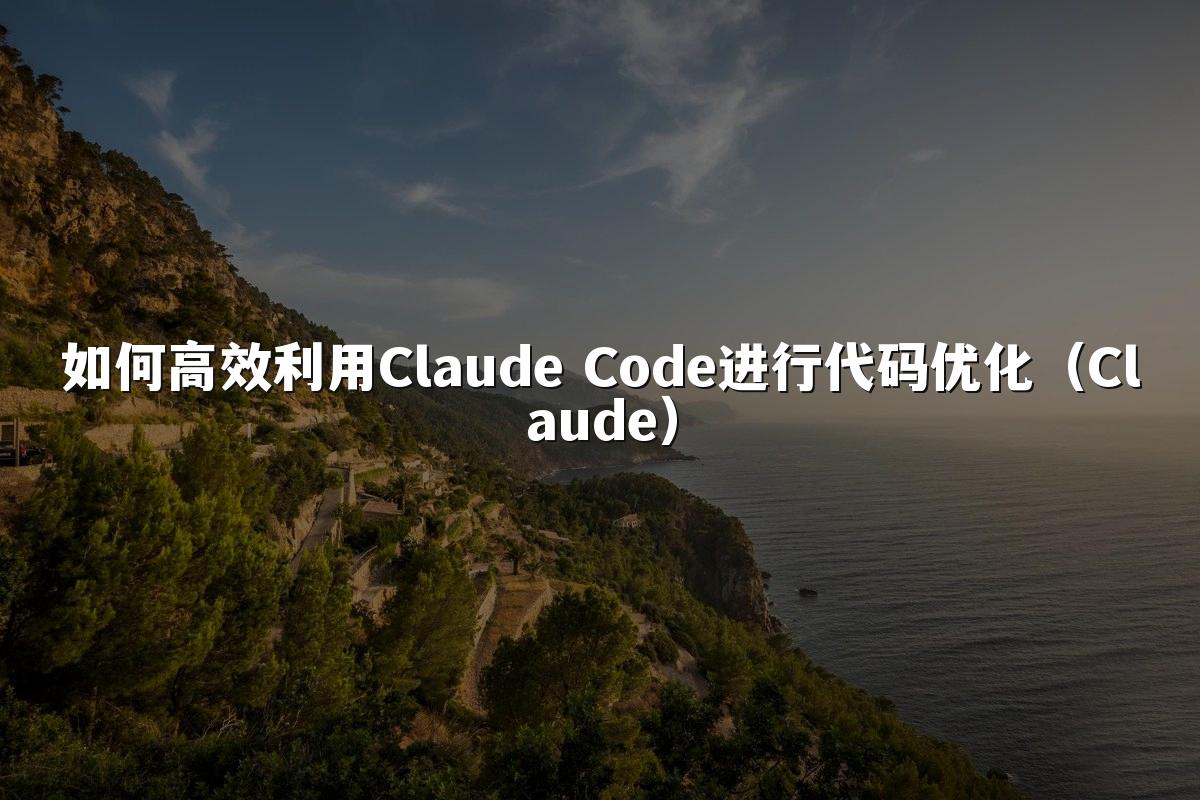 如何高效利用Claude Code进行代码优化(Claude)