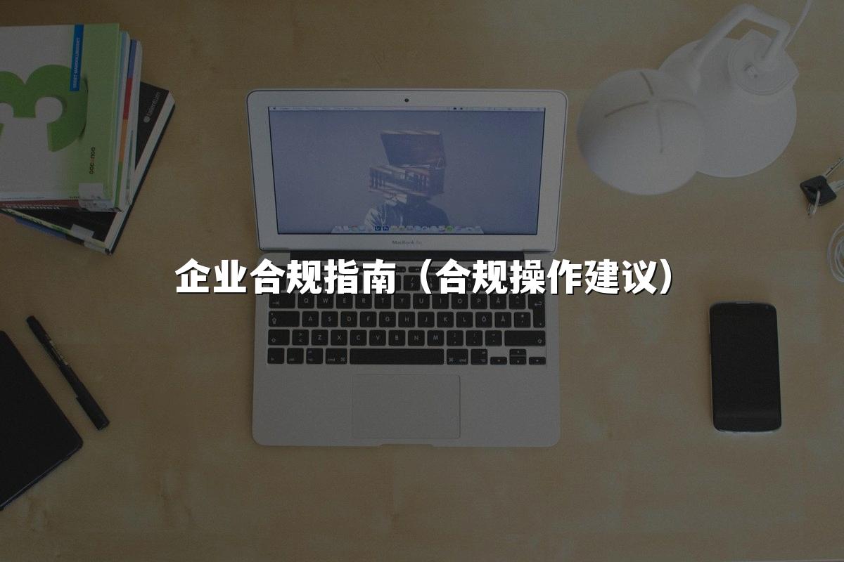 企业合规指南（合规操作建议）
