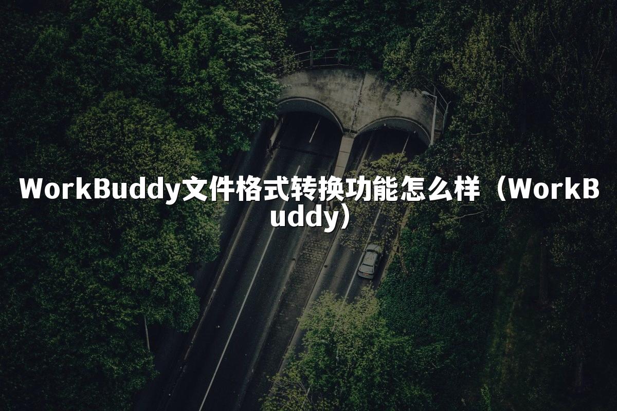WorkBuddy文件格式转换功能怎么样(WorkBuddy)