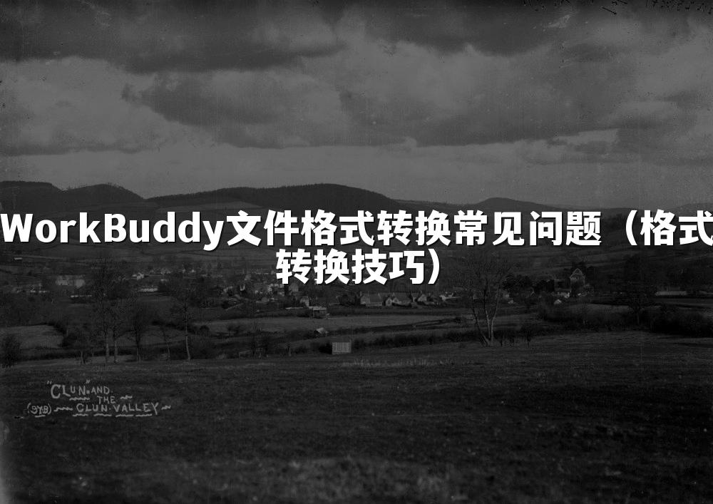 WorkBuddy文件格式转换常见问题（格式转换技巧）