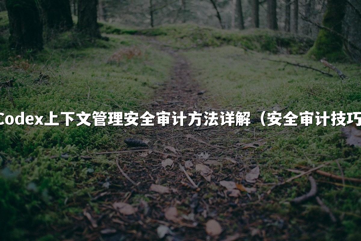 Codex上下文管理安全审计方法详解(安全审计技巧)