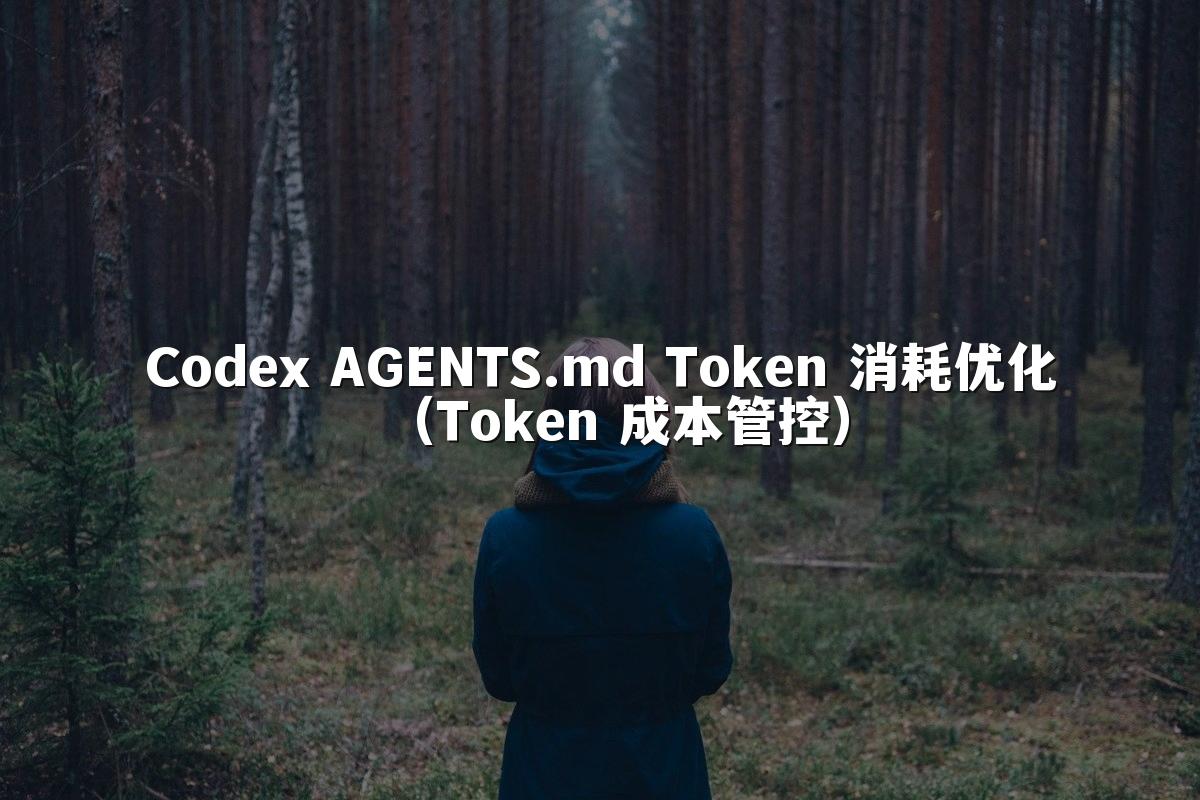Codex AGENTS.md Token 消耗优化（Token 成本管控）