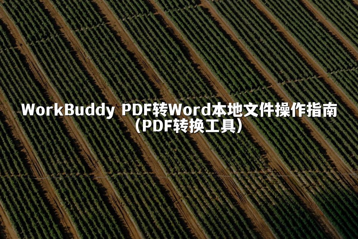 WorkBuddy PDF转Word本地文件操作指南(PDF转换工具)