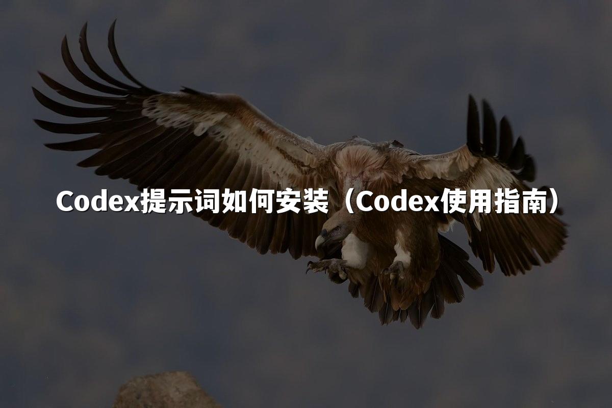 Codex提示词如何安装(Codex使用指南)