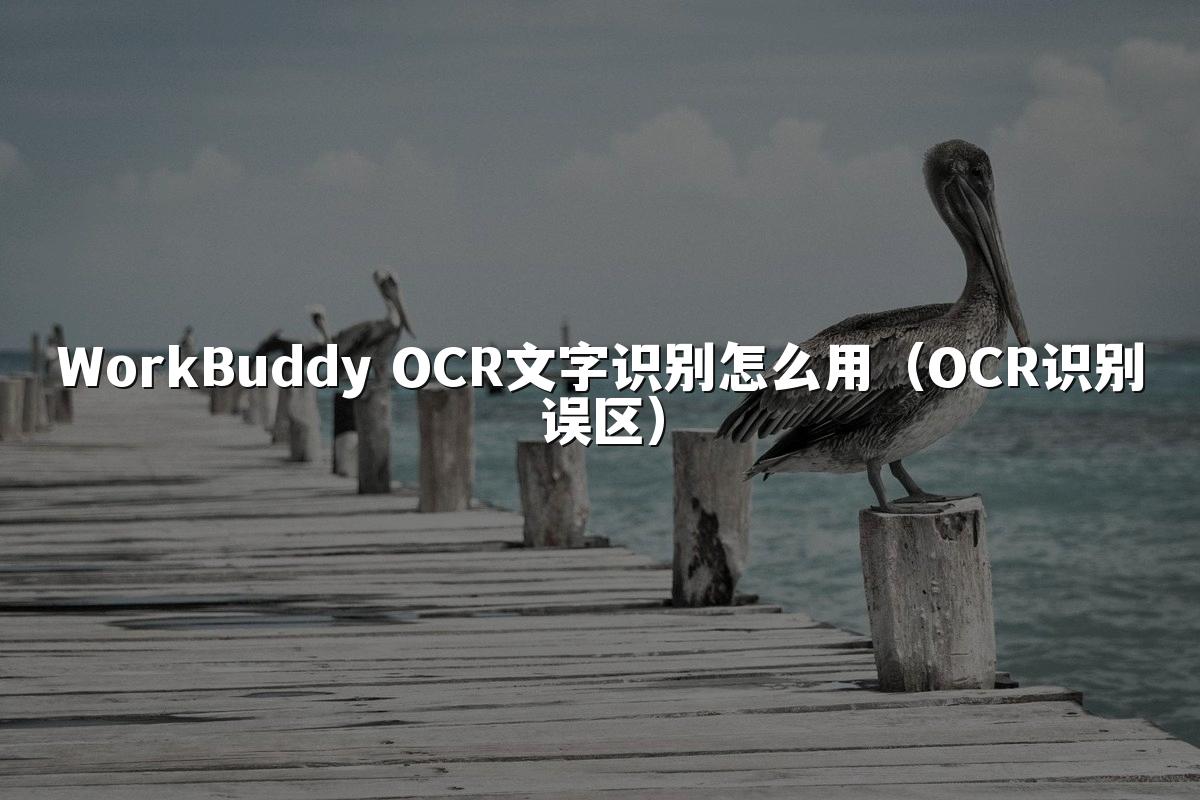 WorkBuddy OCR文字识别怎么用(OCR识别误区)