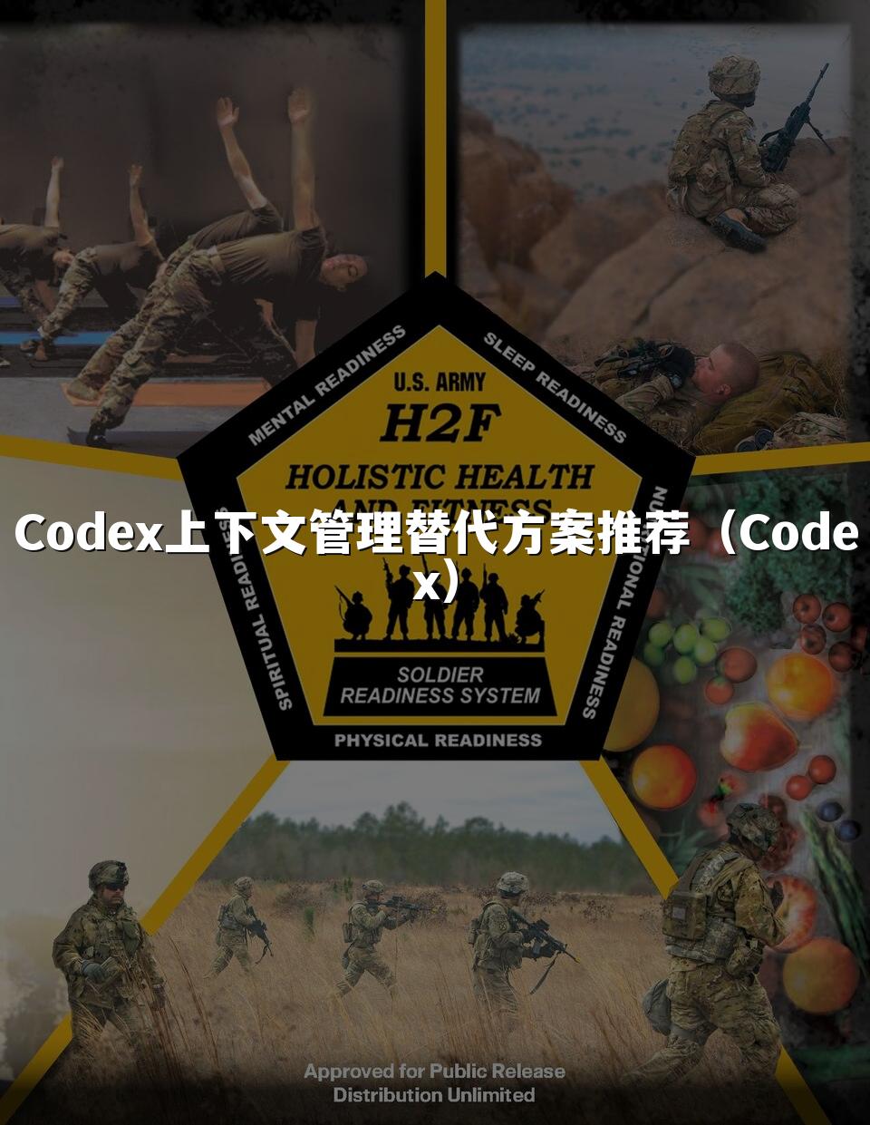 Codex上下文管理替代方案推荐(Codex)