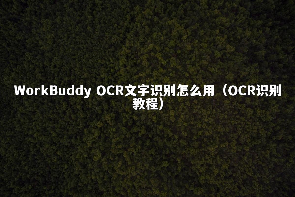 WorkBuddy OCR文字识别怎么用(OCR识别教程)