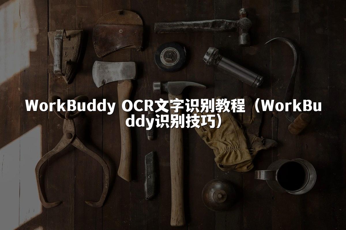 WorkBuddy OCR文字识别教程(WorkBuddy识别技巧)
