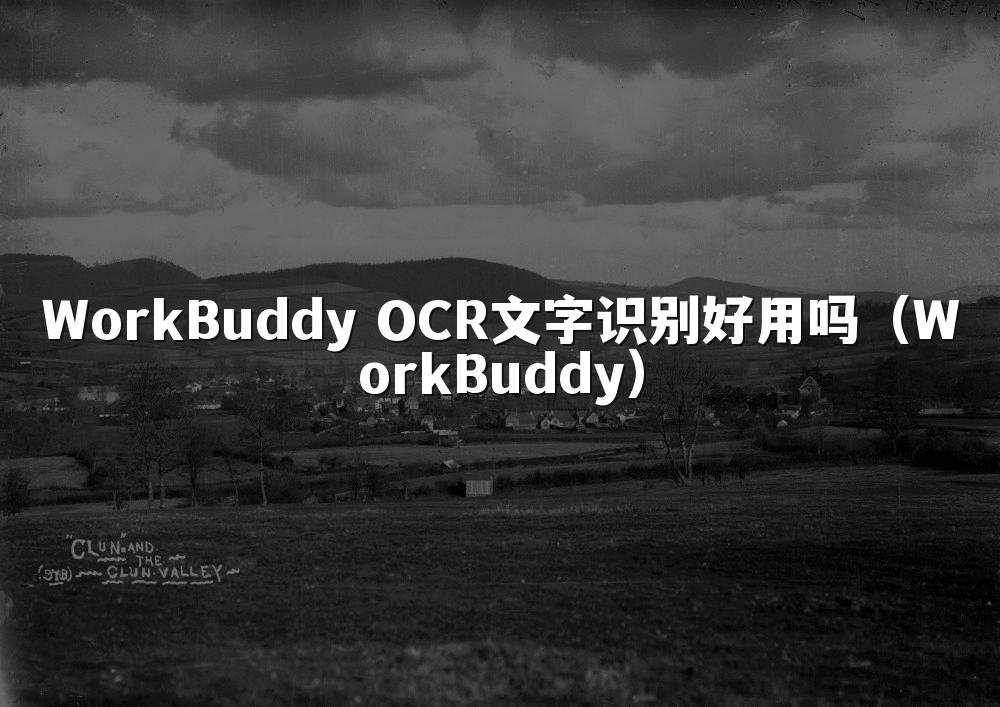 WorkBuddy OCR文字识别好用吗(WorkBuddy)