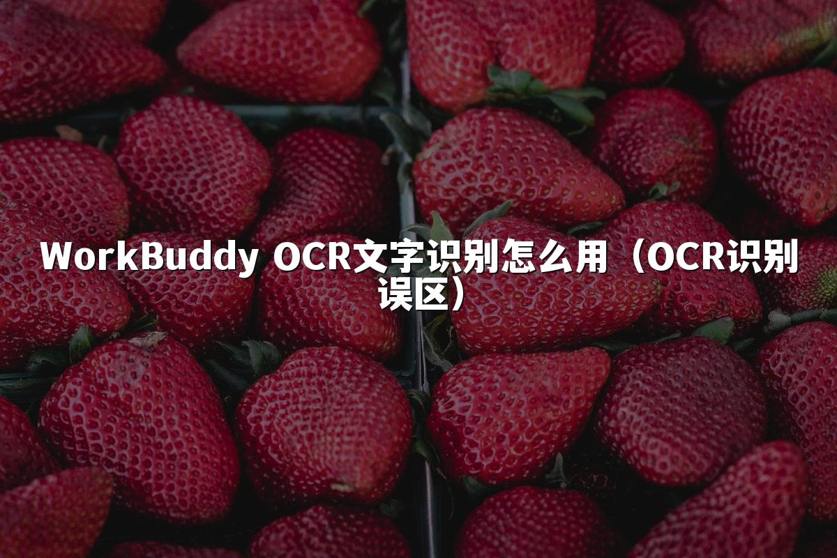 WorkBuddy OCR文字识别怎么用(OCR识别误区)