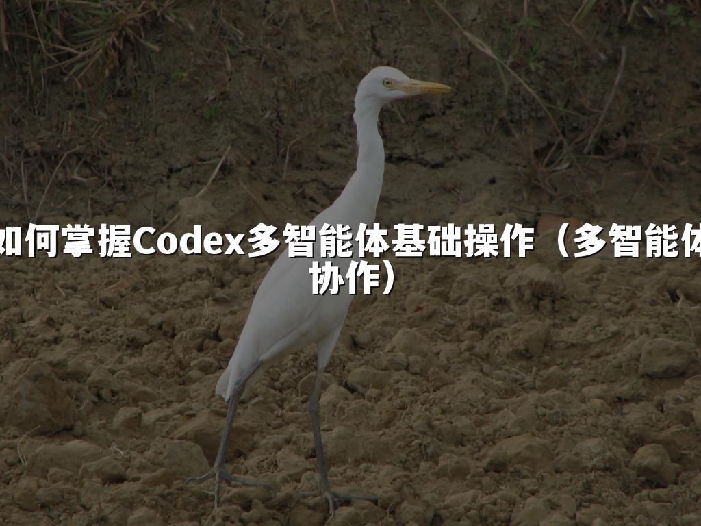 如何掌握Codex多智能体基础操作(多智能体协作)