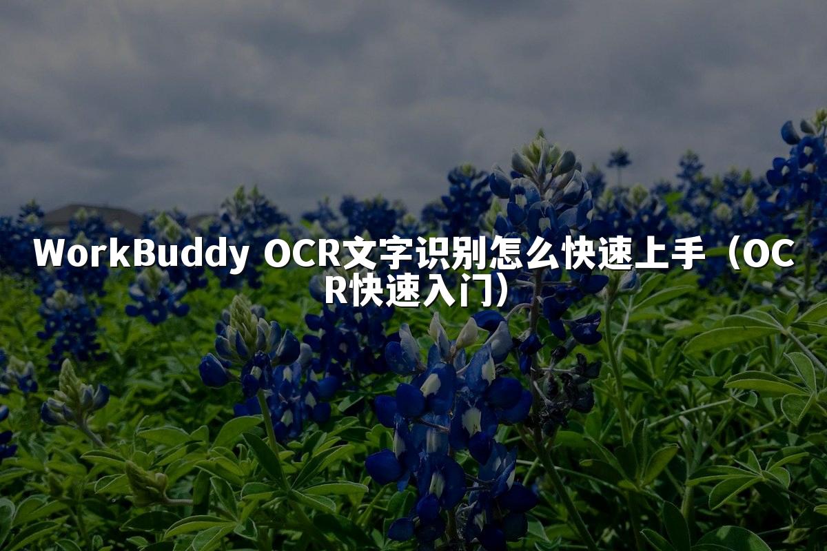 WorkBuddy OCR文字识别怎么快速上手(OCR快速入门)